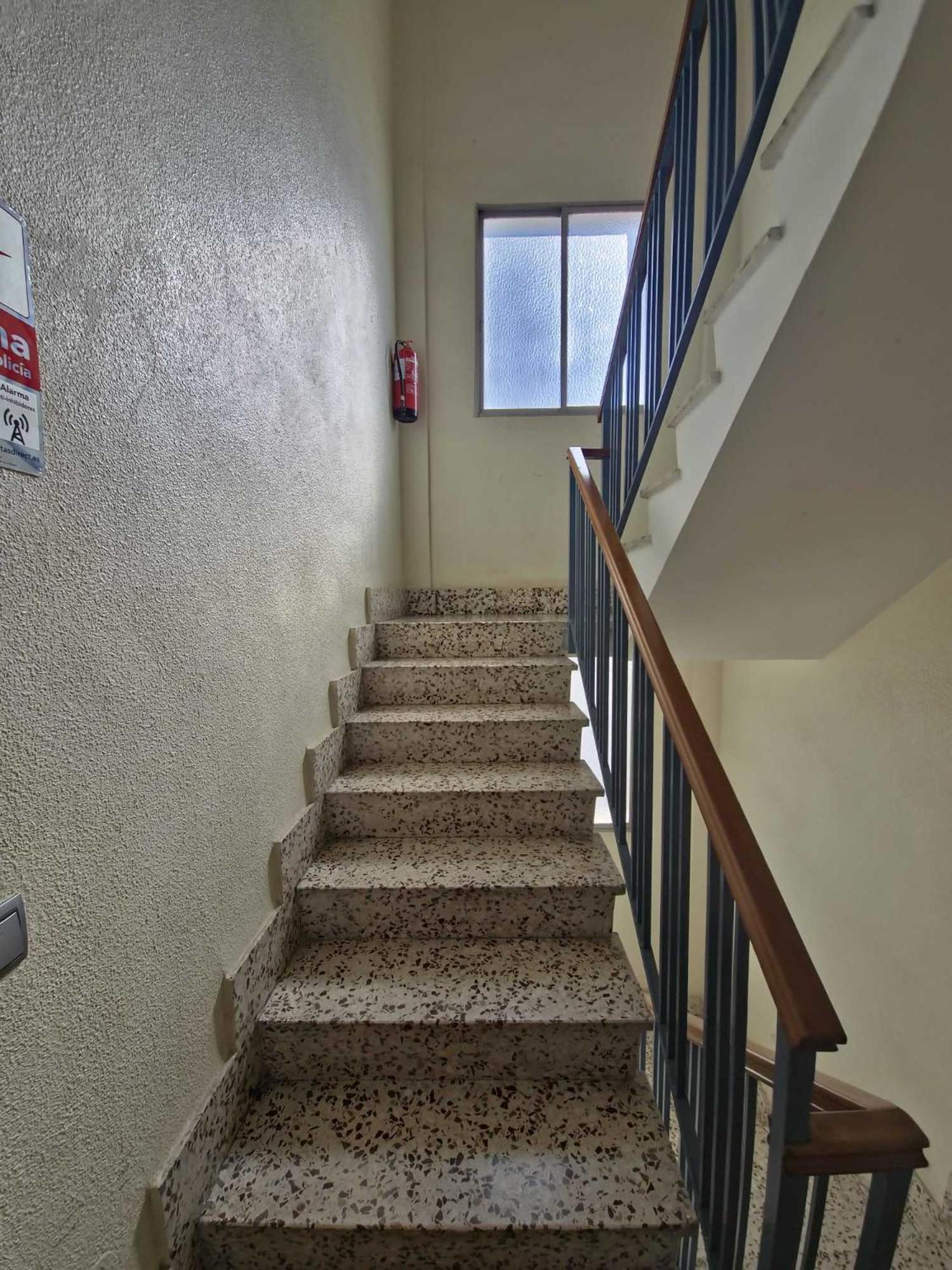 Apartamento Céntrico LA CATEDRAL Murcia Exterior foto